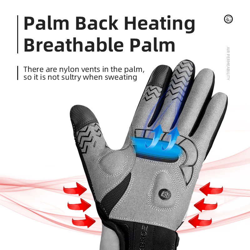 ROCKBROS Heated Winter Glove C - Motorcycle Gear For Winter review and price